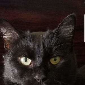 Meet your Posher, Stix